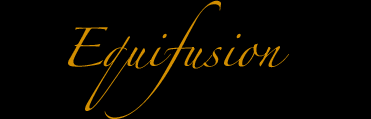 logo Equifusion